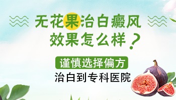 用无花果的白汁涂抹白癜风好吗